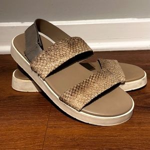 Vince Gray Snakeskin Scaly Leather Ankle Strap Platform Sandals Size 7.5 EUR 38